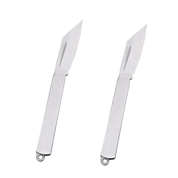 Folding Kitchen Knife, Stainless Steel, 6 Inch, Silver, Travel Friendly, Fruit and Vegetable Cutter, Pack of 2