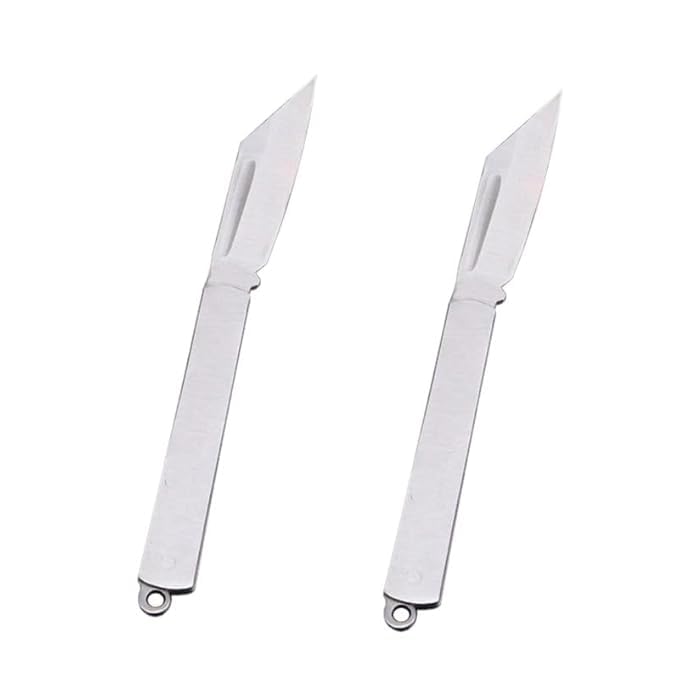 Kitchen Folding Knife, Stainless Steel, Fruit and Vegetable Cutter, Travel Friendly, Foldable, 6 Inch, Pack of 1