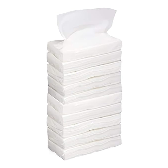 Facial Tissue, 100 Sheets, Pack of 1