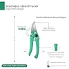 Hand Pruner Cutter - 1 Pc, Heavy Duty Gardening Tools Grass Cutter, Plant Cutter for Home Garden, Wood Branch Trimmer, Garden Tools Grass Cutting Accessories (Steel Blades, Green) pack of 1