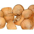 Natural Coconut Shells, Cleaned, 1.8 Kg, Natural Brown