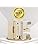 32 AMP Kit-kat Fuse, Porcelain Brass, Pack of 1