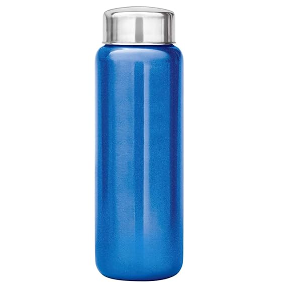 Stainless Steel Water Bottle for Fridge, 750 ml Capacity, Set of 1