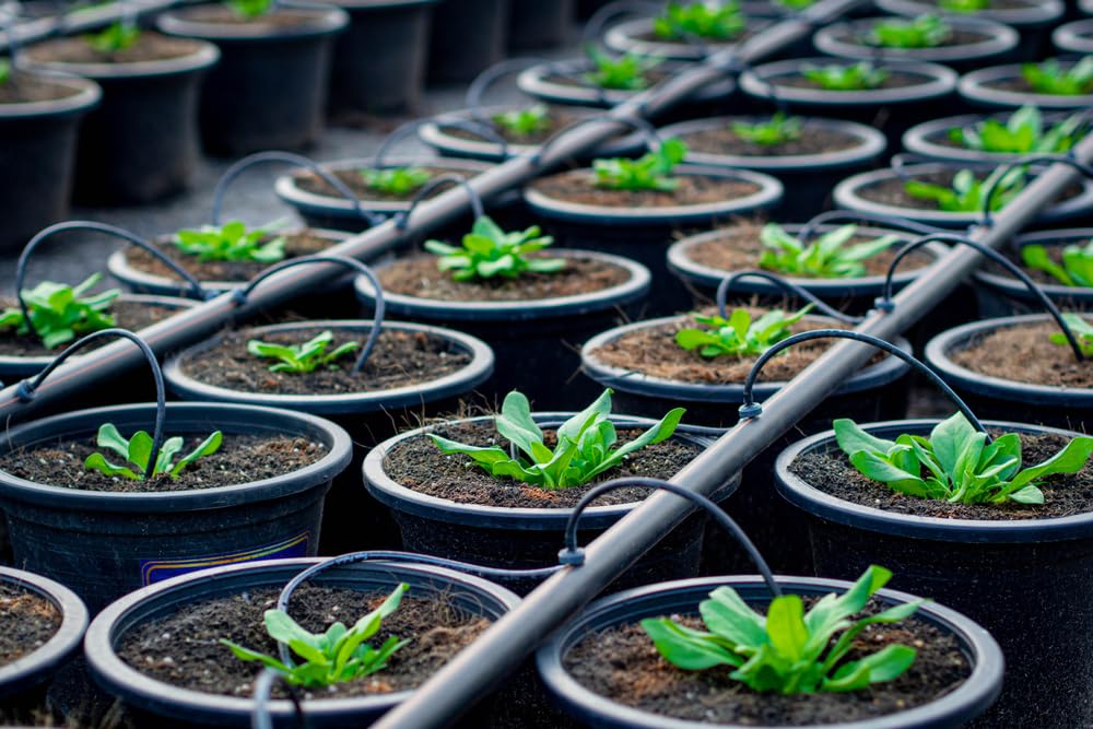 Drip Irrigation Pipe 16mm Black, 25m Pack of 1