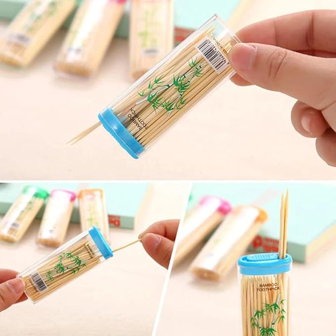 Bamboo Wooden Toothpicks, Travel Portable, Portable Bamboo Stick. (5 Boxes)