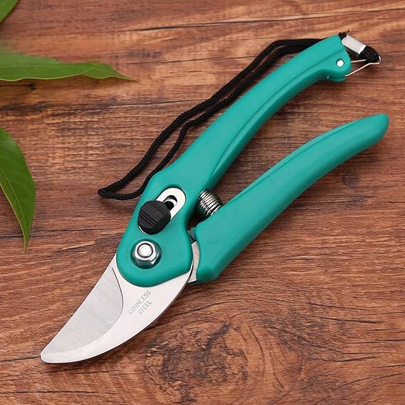 Hand Pruner Cutter - 1 Pc, Heavy Duty Gardening Tools Grass Cutter, Plant Cutter for Home Garden, Wood Branch Trimmer, Garden Tools Grass Cutting Accessories (Steel Blades, Green) pack of 1
