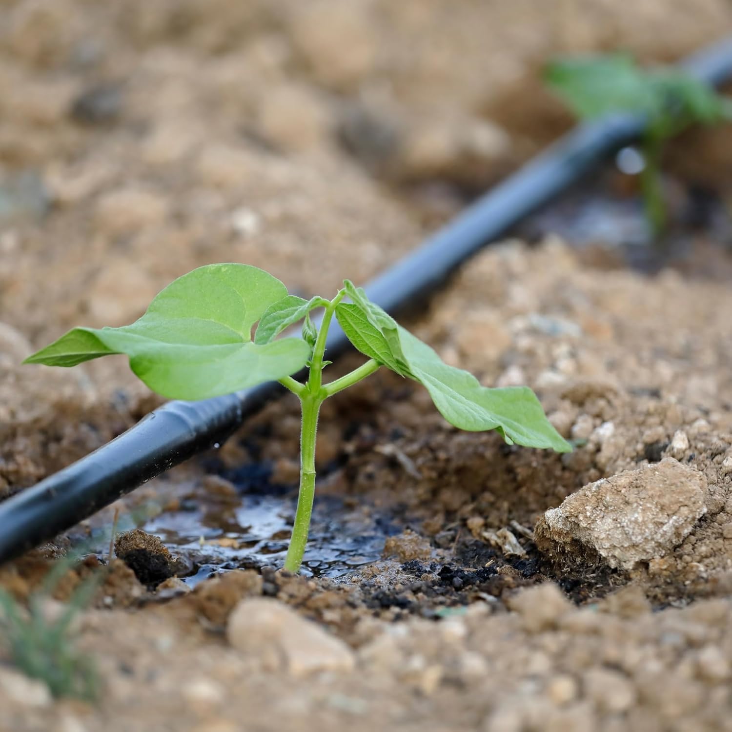 Drip Irrigation Pipe 16mm Black, 25m Pack of 1